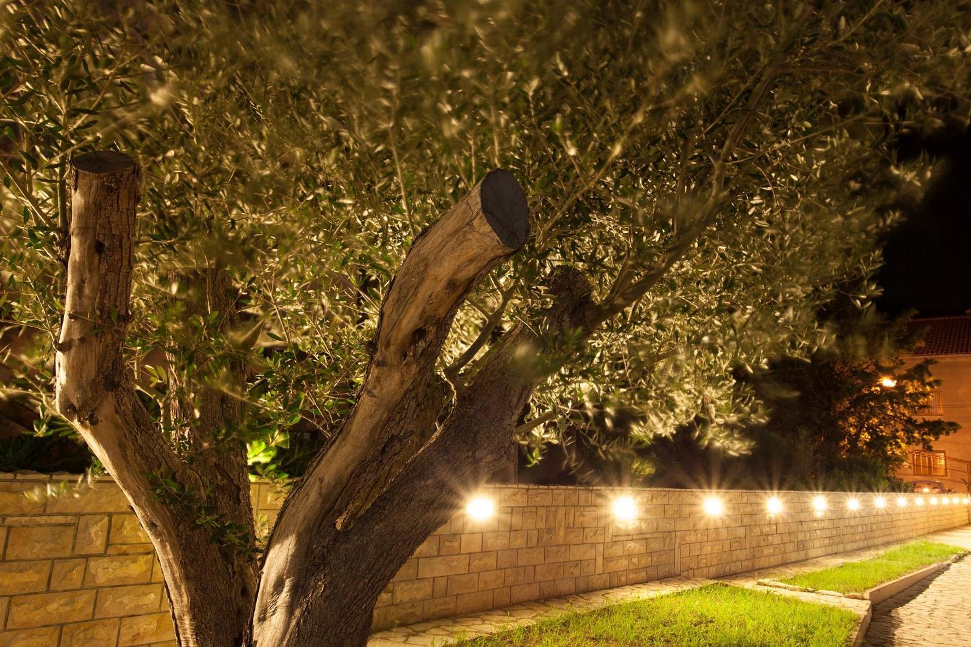 Bed&Breakfast Lucija Bed & Breakfast Punat Dış mekan fotoğraf